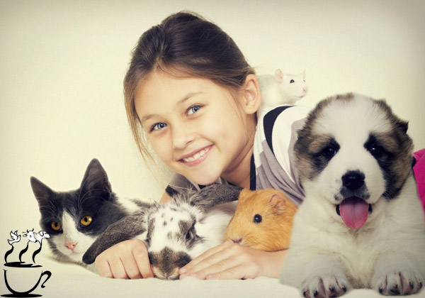 فواید داشتن یک حیوان خانگی 1 Cleaning solutions safe for children and pets