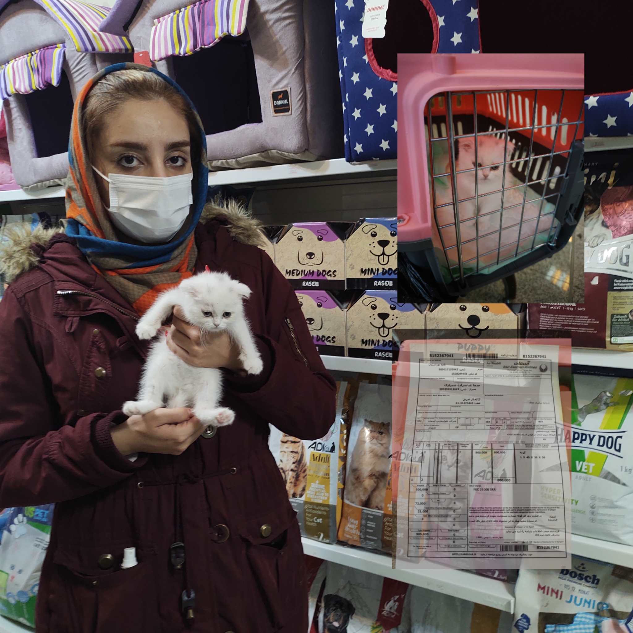 PhotoGrid Plus 1673785605071