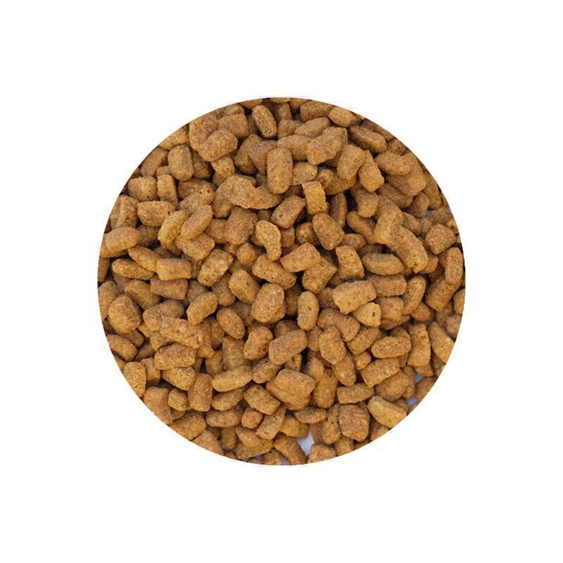 غذای خشک گربه بالغ رفلکس پلاس بره و برنج 1 غذای خشک گربه بالغ رفلکس پلاس بره و برنج