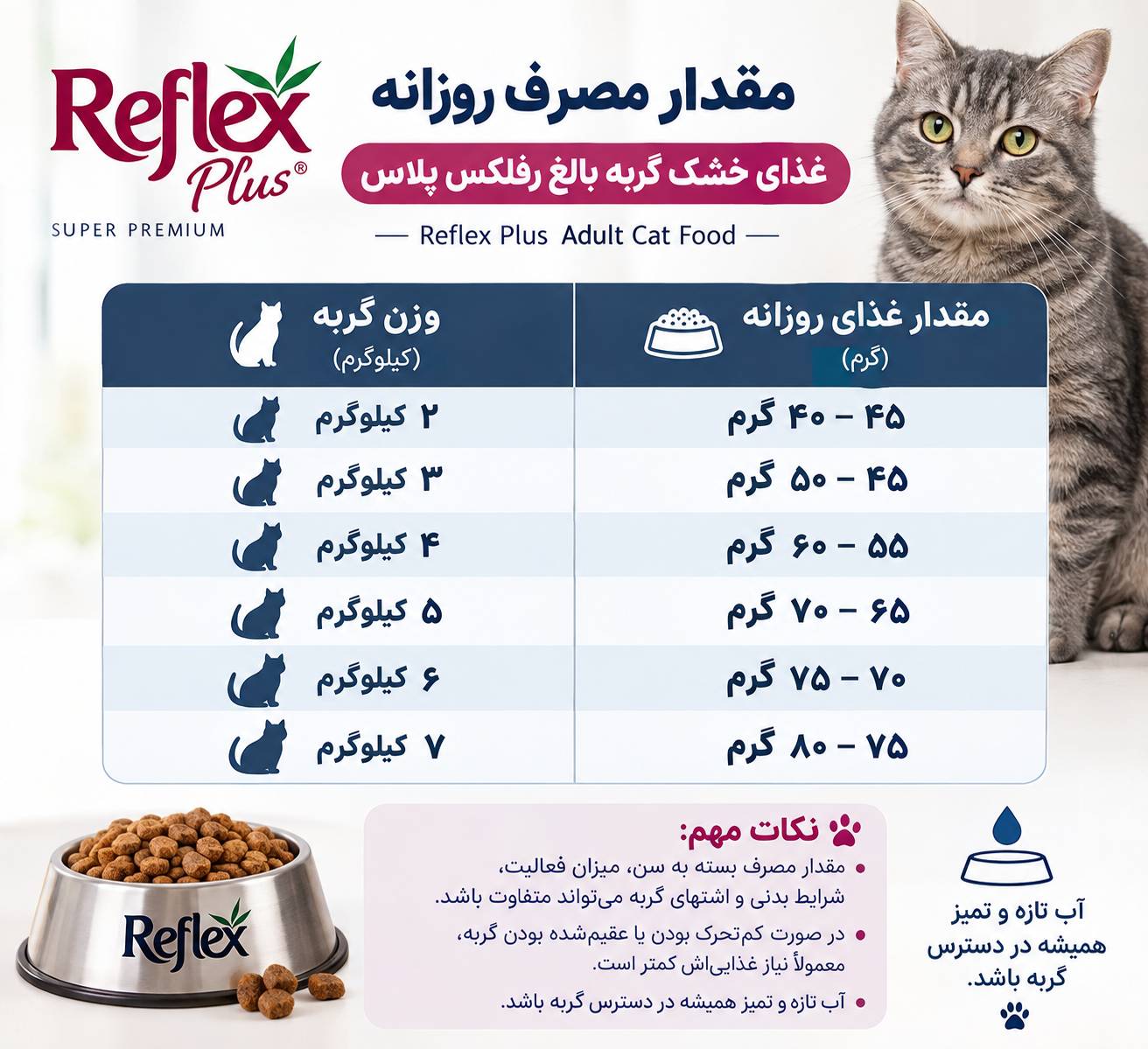 غذای خشک گربه بالغ رفلکس پلاس بره و برنج 2 غذای خشک گربه بالغ رفلکس پلاس بره و برنج
